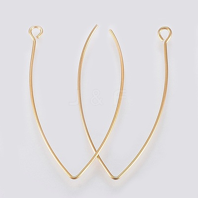 PVD Vacuum Plating 304 Stainless Steel Earring Hooks LS-X-STAS-K184-05-01G-1