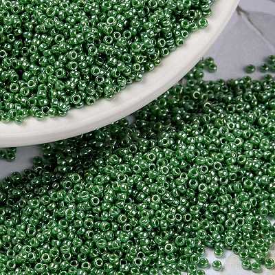 MIYUKI Round Rocailles Beads SEED-G009-RR0431-1