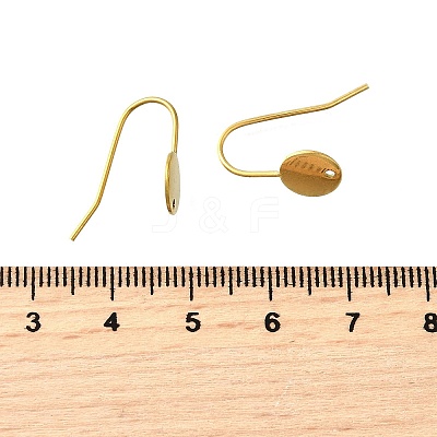 304 Stainless Steel Earring Hooks STAS-B087-09B-G-1