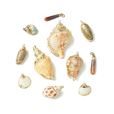 16pcs 8 Styles Electroplated Natural Mixed Shell Big Pendants SSHEL-CJ0001-21-1