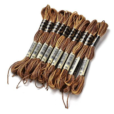 10 Skeins 6-Ply Polyester Embroidery Floss OCOR-K006-A39-1