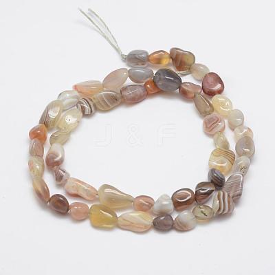 Natural Botswana Agate Beads Strands G-F521-45-1