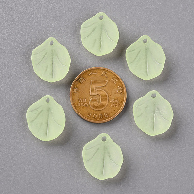 Transparent Frosted Acrylic Pendants MACR-S371-02A-728-1