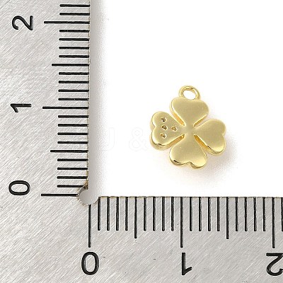 Rack Plating Brass Micro Pave Cubic Zirconia Charms KK-S396-65G-1