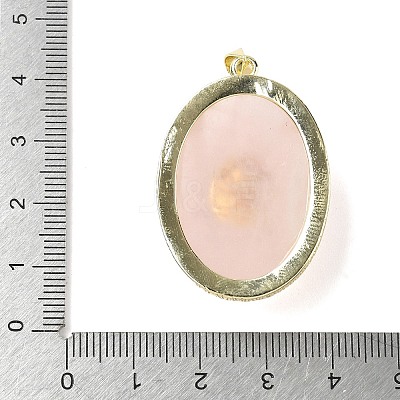 Natural Rose Quartz & Amethyst Pendants G-P599-05G-03-1