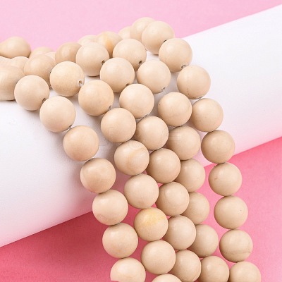 Natural Fossil Beads Strands X-G-E110-10mm-2-1