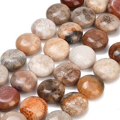 Natural Fossil Coral Beads Strands GG-CBA362F-02-1
