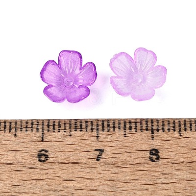Transparent Plastic Bead Caps KY-Q005-02A-06-1