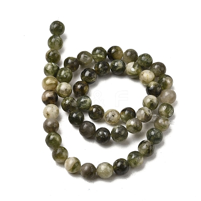 Natural Green Lepidolite Beads Strands G-K350-C01-8mm-1
