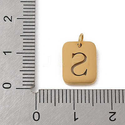 304 Stainless Steel Charms STAS-R001-01G-S-1