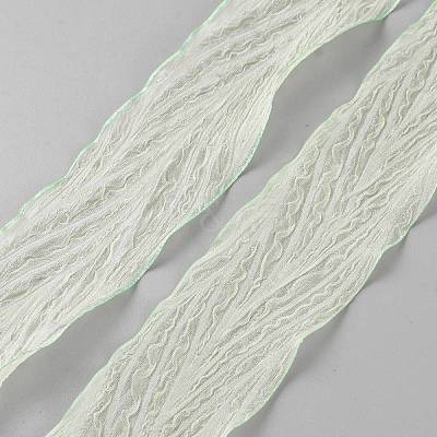 Polyester Pleated Ribbons SRIB-WH20020-005D-1