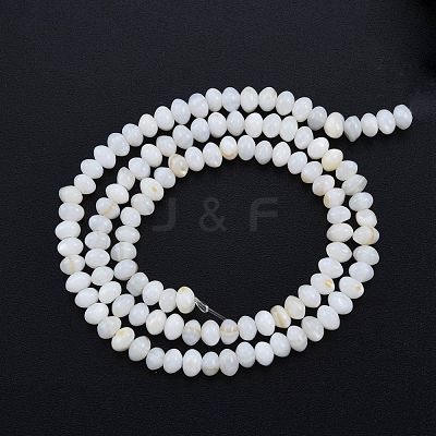 Natural Freshwater Shell Beads Strands SHEL-G013-03B-1