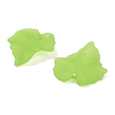 Frosted Acrylic Pendants FACR-G006-01A-1