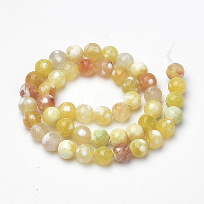 Dyed Natural Fire Crackle Agate Beads Strands G-Q462-127D-8mm-1