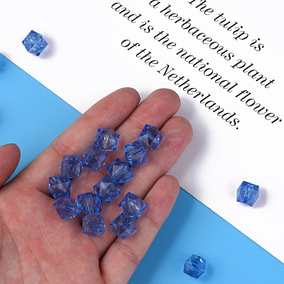 Transparent Acrylic Beads MACR-S373-132-B10-1