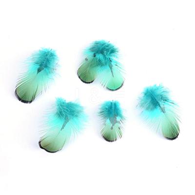 Chicken Feather Costume Accessories FIND-Q047-03-1