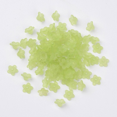 Transparent Acrylic Beads PL554-14-1