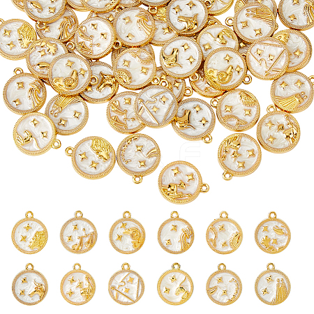 48Pcs 12 Styles Alloy Enamel Pendants FIND-HS0002-50G-1