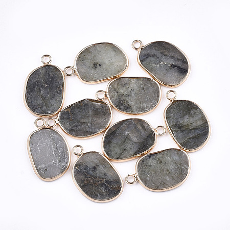 Natural Labradorite Pendants G-T112-28A-1