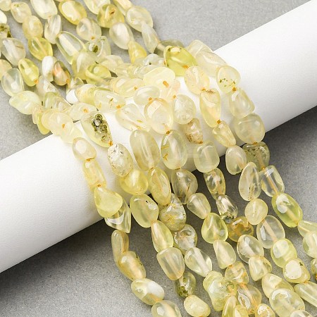 Natural Gold Prehnite Beads Strands G-K395-A07-01-1