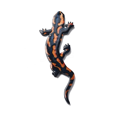 Acrylic Pendants OACR-I016-10-1