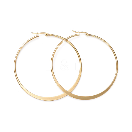 201 Stainless Steel Hoop Earrings EJEW-I245-01D-1
