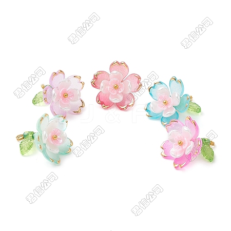 Transparent Acrylic Pendants PALLOY-SZ00022-1