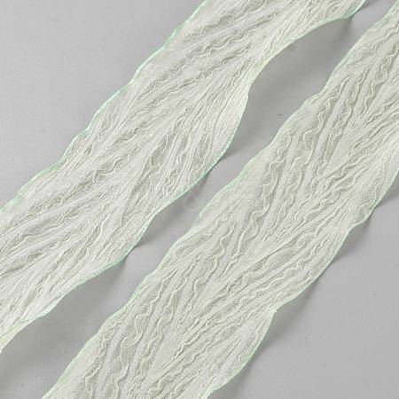 Polyester Pleated Ribbons SRIB-WH20020-005D-1