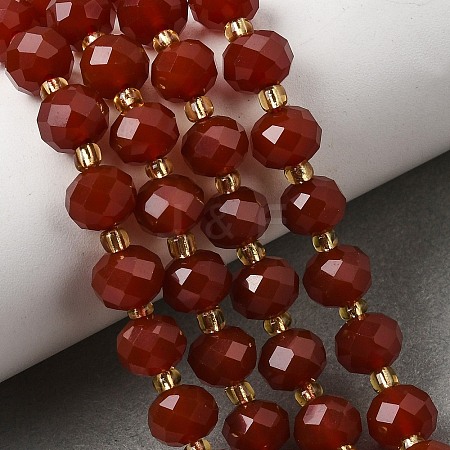 Natural Carnelian(Dyed & Heated) Beads Strands G-D105-B12-1