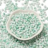 Baking Paint Glass Seed Beads SEED-F006-01A-08-2