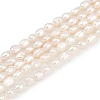 Natural Cultured Freshwater Pearl Beads Strands PEAR-P064-20D-01A-2