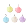 Shell Shape Plastic Pendants PALLOY-JF03734-1