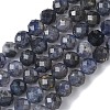 Natural Iolite/Cordierite/Dichroite Beads Strands G-L651-C03-6mm-2