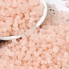 Transparent Colours Glass Seed Beads SEED-R001-01B-1