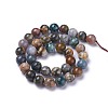 Natural Ocean Agate/Ocean Jasper Beads Strands G-G772-03-C-2