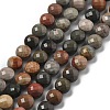 Natural Ocean Jasper Beads Strands G-C179-A09-02-2