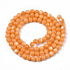 Natural Freshwater Shell Beads Strands SHEL-N003-24-B07-2