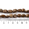 Natural Picture Jasper Beads Strands LS-G-G146-A01-01-5