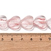 Transparent Handmade Lampwork Beads LA-CBAF0C8-01B-3