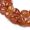 Natural Agate Beads Strands X-G-L560-M10-2