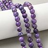Dyed Natural Dolomite Beads Strands G-D337-8mm-D03-1
