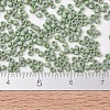 MIYUKI Delica Beads SEED-X0054-DB2310-4
