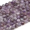Natural Amethyst Beads Strands G-M445-8MM-01C-4
