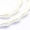 Shell Pearl Beads Strands BSHE-P024-06-3