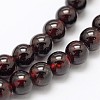 Garnet Round Beads Strands G-O081-03-6mm-1