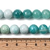 Gradient Natural Amazonite Beads Strands GG-CBA54CC-C01-10mm-5