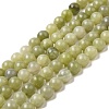 Natural Green Jade Beads Strands G-K340-A02-02-2