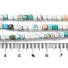 Natural Howlite Beads Strands G-G001-A03-08-5