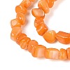 Natural Freshwater Shell Beads Strands SHEL-N037-04F-3
