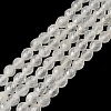 Natural Quartz Crystal Beads Strands G-K376-F01-01-2